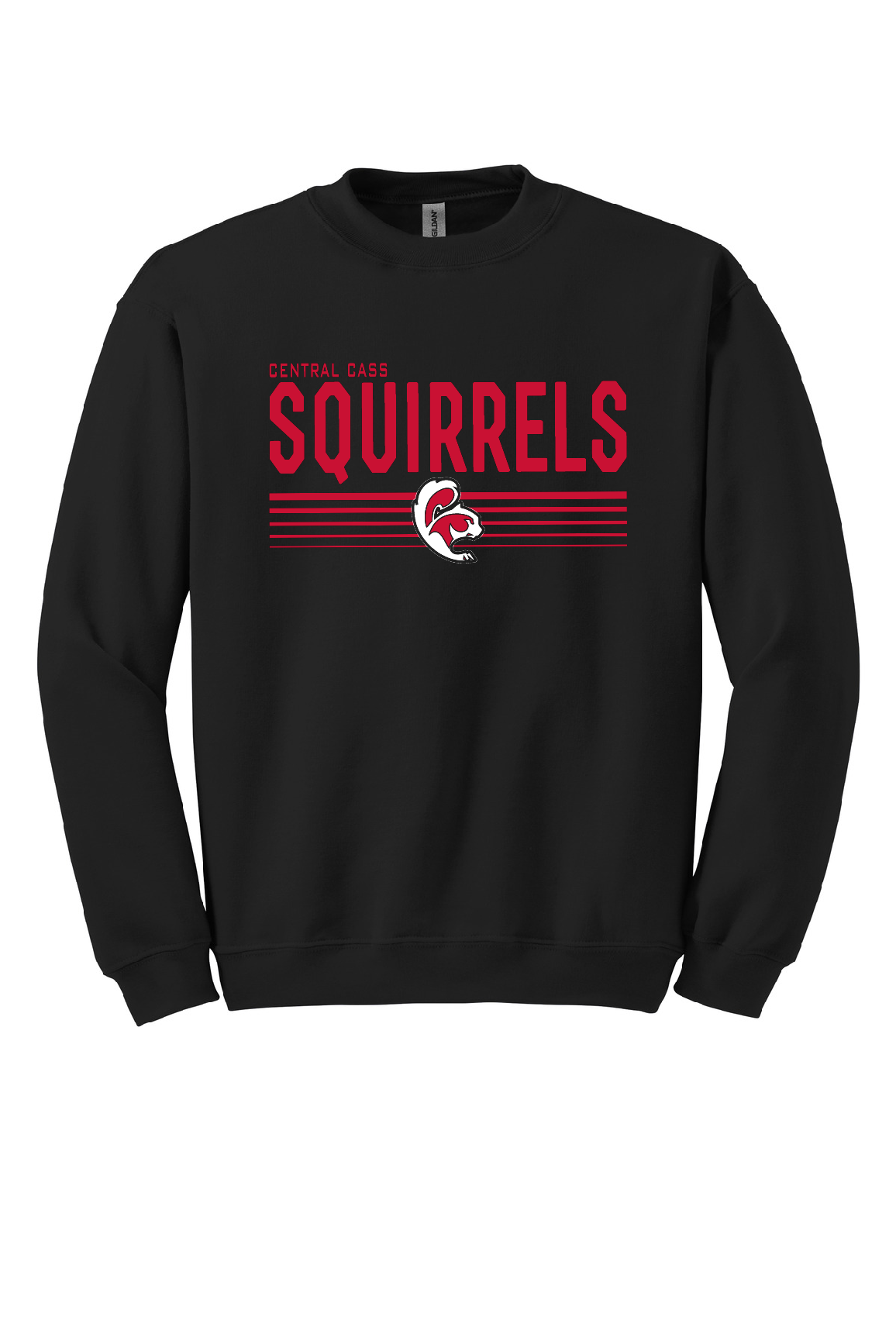 SQUIRRELS - Youth Sweatshirts (Crewneck & Hooded)