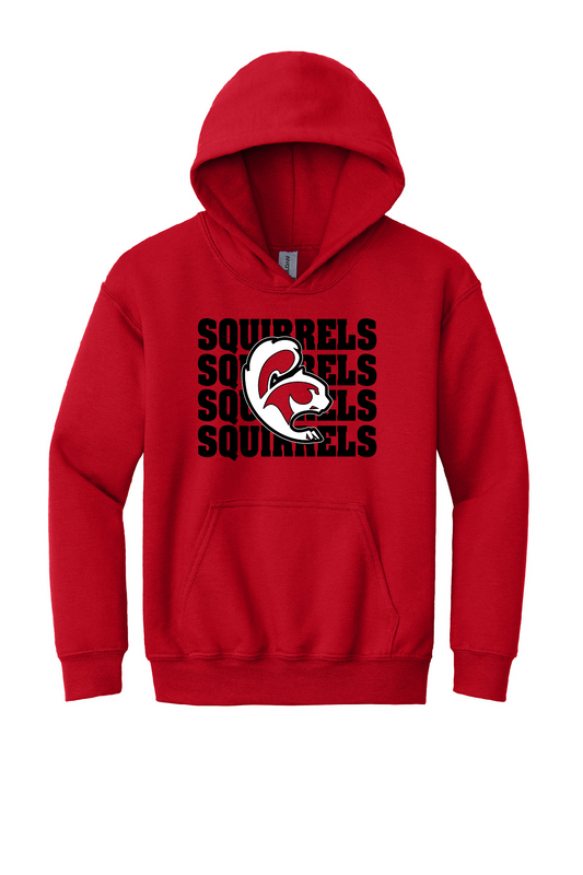 SQUIRRELS - Youth Sweatshirts (Crewneck & Hooded)
