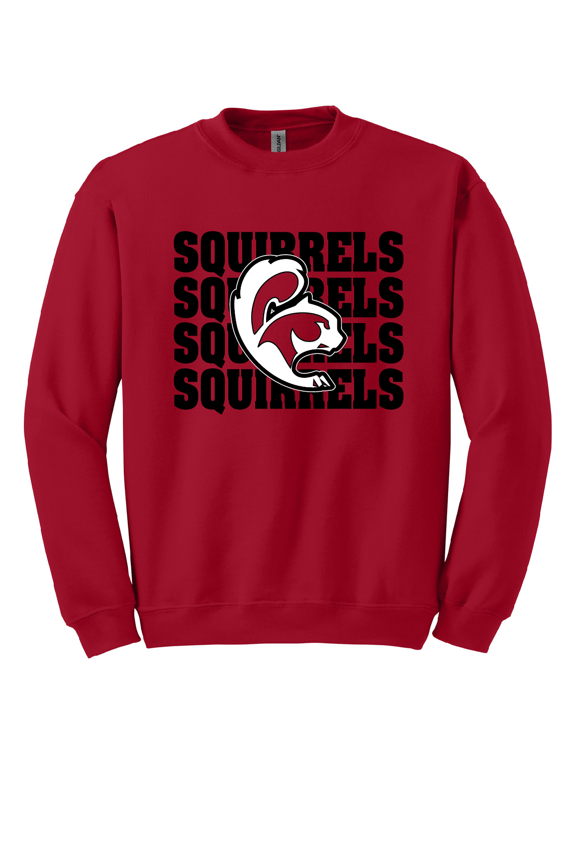 SQUIRRELS - Youth Sweatshirts (Crewneck & Hooded)