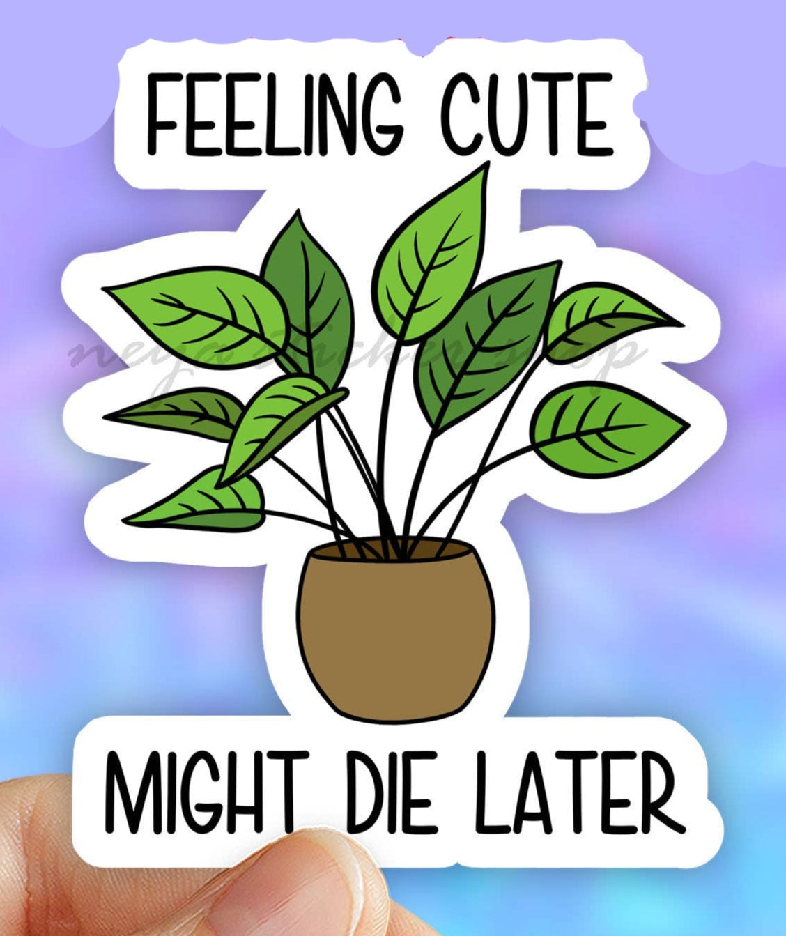 Feeling Cute Sticker