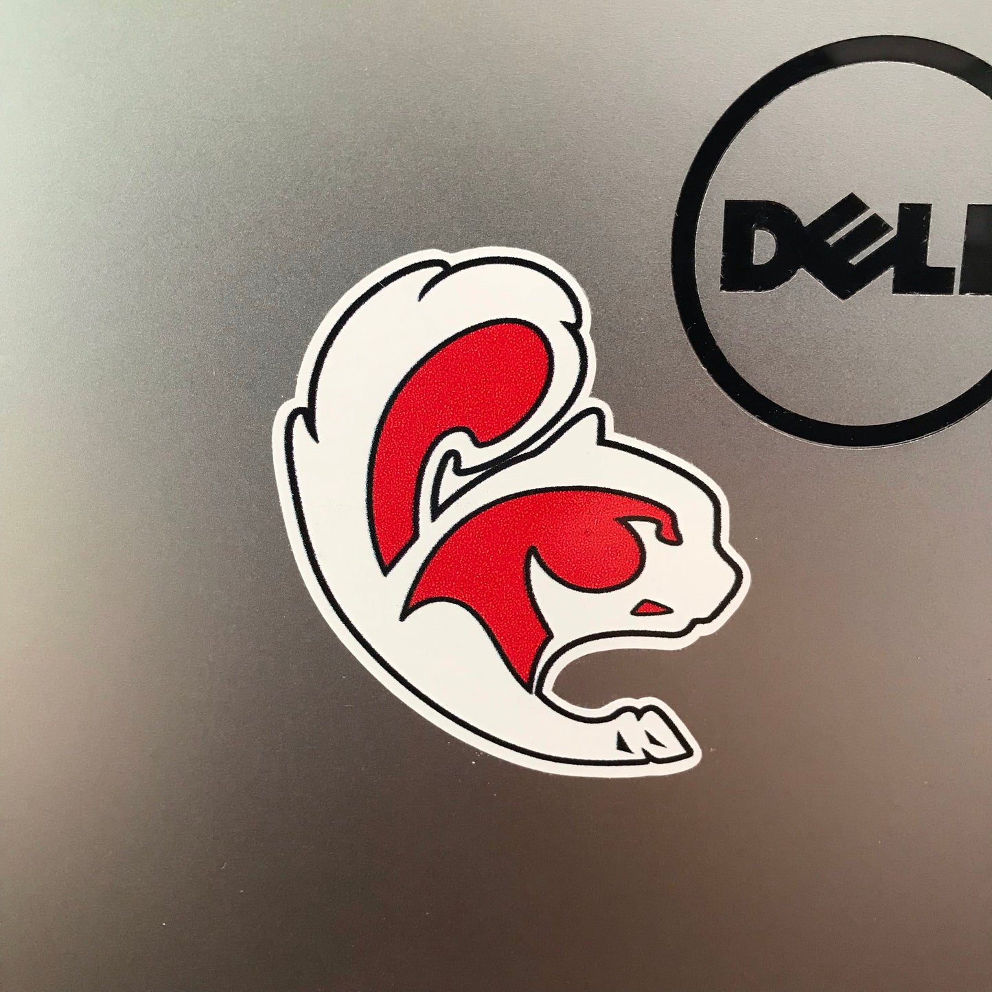 Squirrel Stickers
