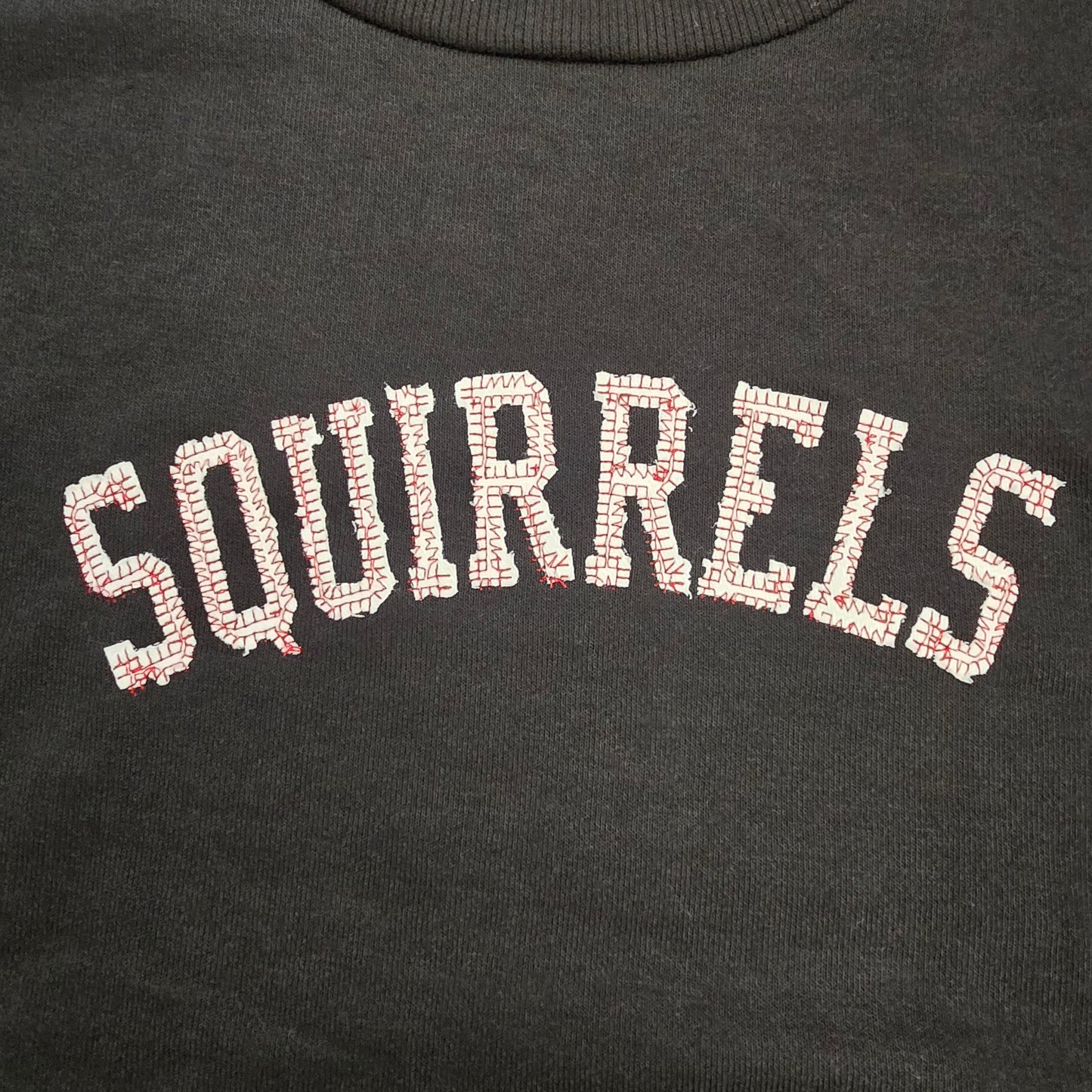 Squirrels Droptail Sweatshirt