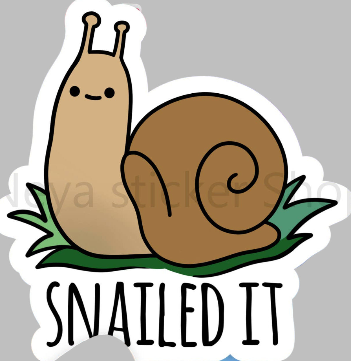 Snailed it - Sticker