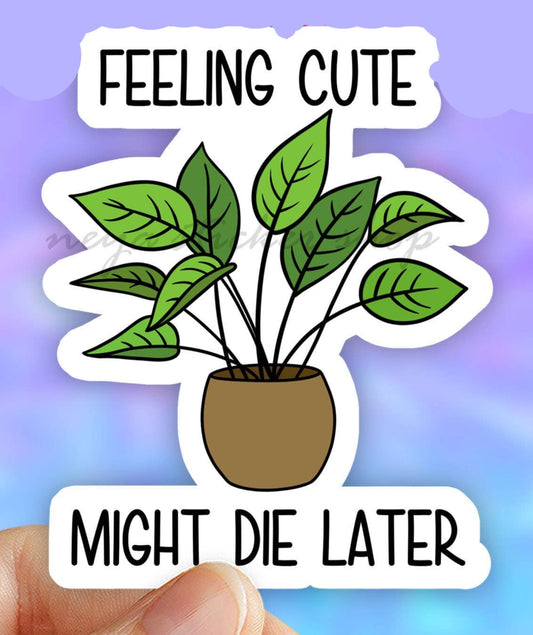 Feeling Cute Sticker