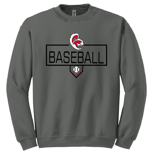 NEW CC Baseball Sweatshirts