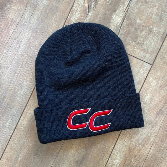 Cuff Beanie - Pacific 650K