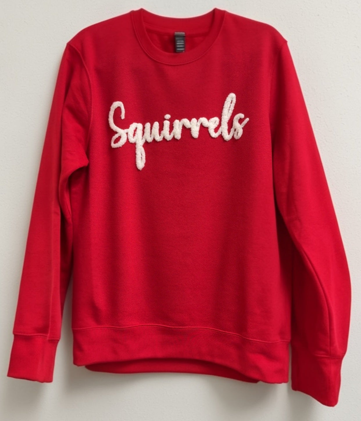 CC Fuzzy Squirrels Image